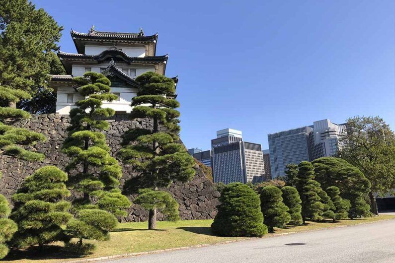Palacio imperial de tokio, visita y reserva - foto durante la visita al palacio imperial Foto durante la visita guiada al palacio imperial de tokio