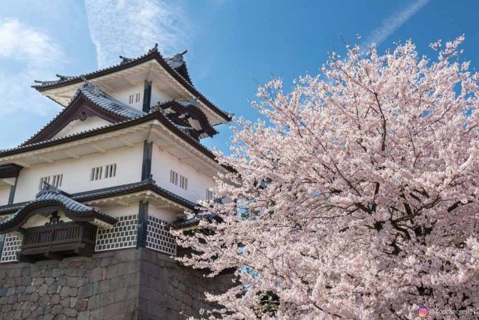 Ruta por el parque del castillo de kanazawa - kanazawa castle park sakura Castillo de kanazawa