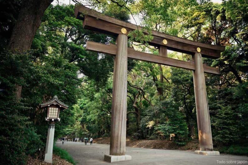 El santuario meiji jingu en tokio - imponente tori en el bosque del meiji jingu Tori de entrada al santuario meiji jingu