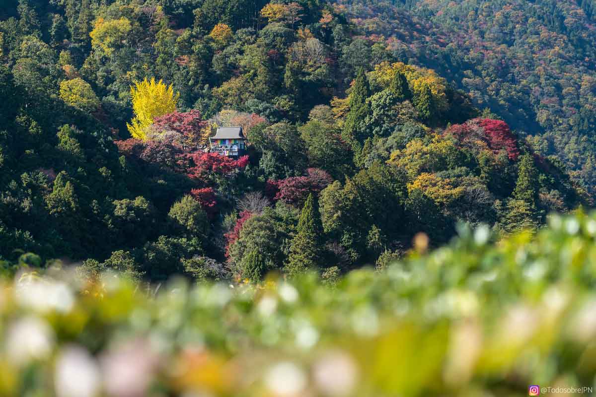 Descubriendo los secretos de arashiyama, el templo daihikaku senkoji - daihikaku senkoji Dahikaku senkoji