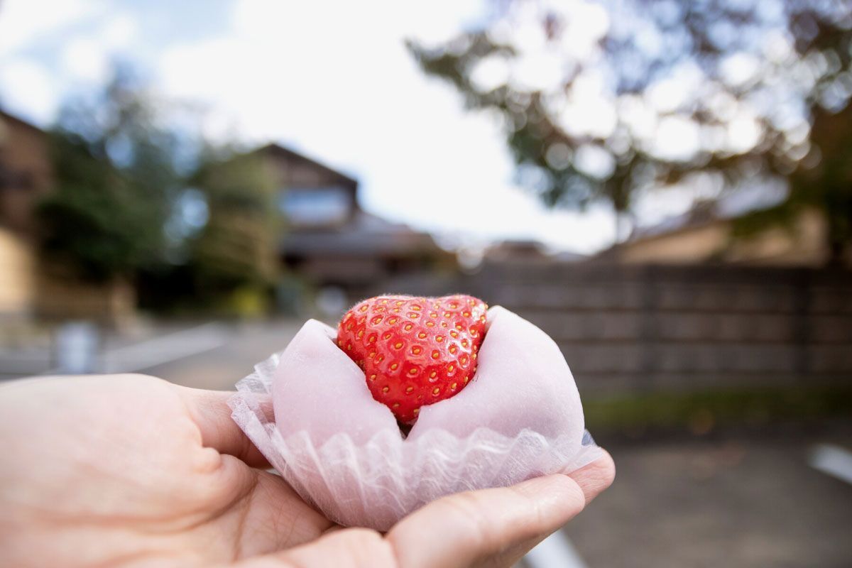 Mochi y daifuku, diferencias entre los 2 dulces japoneses más populares - diferencias entre mochi y daifuku en japon 1 Diferencias entre mochi y daifuku, los típicos dulces japoneses