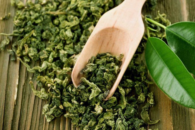 ¿dónde comprar el mejor té verde del mundo? - el verde de uji es el mejor del mundo 1 El té verde de uji es el mejor té del mundo