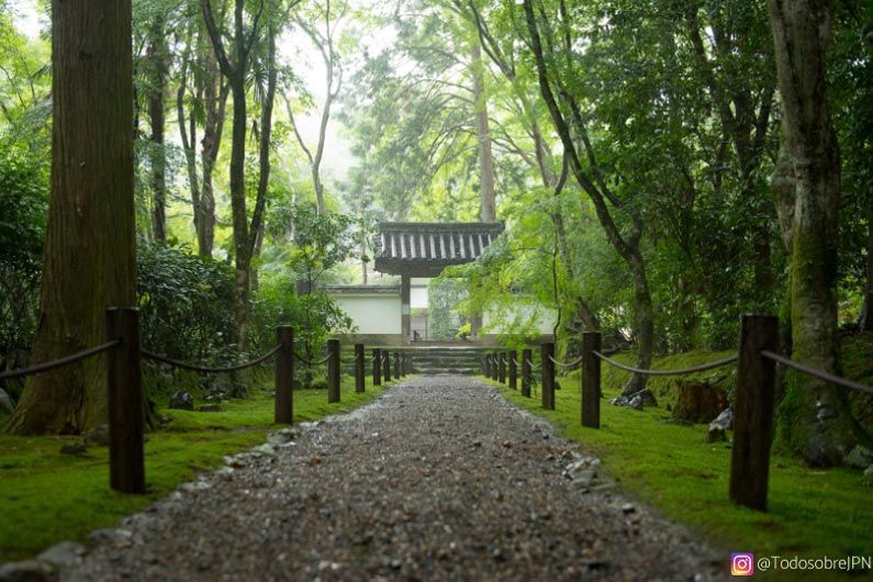 Templo jizo-in, el templo de bambú oculto en arashiyama - entrada al templo jizo in Entrada al templo de bambú de jizo-in en arashiyama