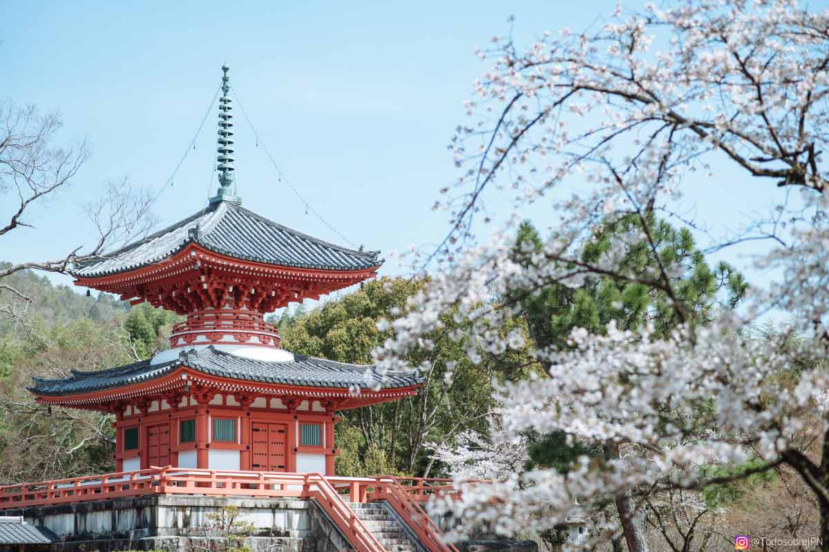 El templo daikakuji, un tesoro oculto en kioto - templo daikakuji pc Templo daikakuji en kioto