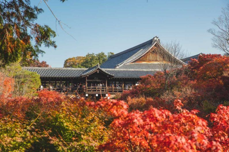 Templo tofukuji, el mejor lugar en kioto para ver el momiji - templo tofukuji 1 Templo tofukuji en kioto