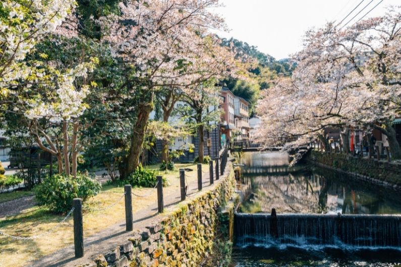 Kinosaki onsen y los 7 motivos para no perdérselo - kinosaki en primavera Kinosaki en primavera