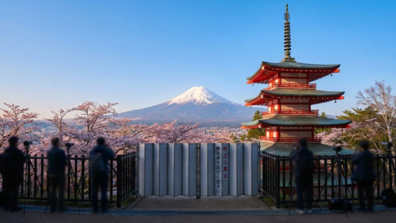 Cancelado el festival de sakura 2026 en el monte fuji por sobreturismo - cancelacion festival sakura monte fuji pagoda chureito 2026 Cancelación del festival de sakura en el monte fuji por sobreturismo